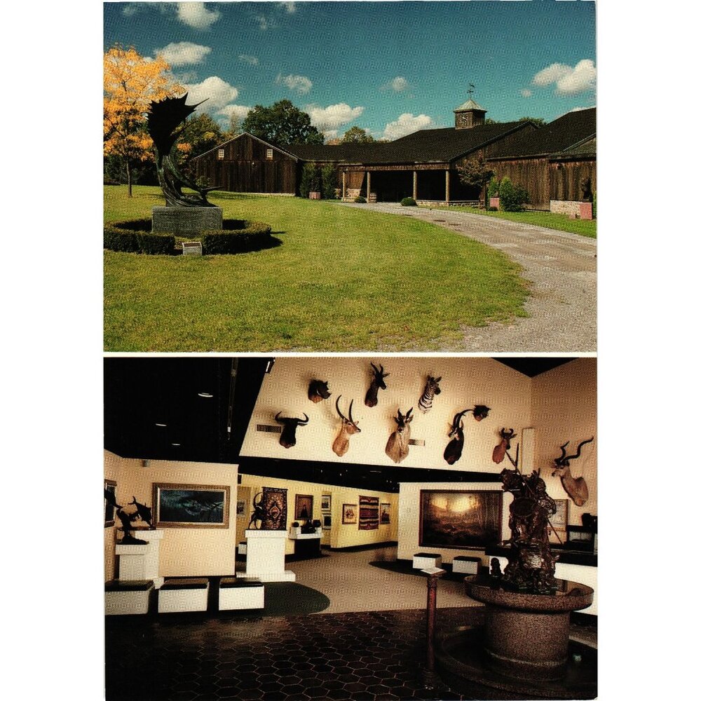 John L Wehle Gallery Sporting Art Museum Postcard Genesee County Museum NY